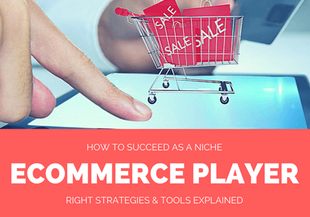How to succeed in niche eCommerce player