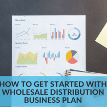 Distribution retailing and wholesaling business plan